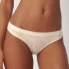 Triumph Brazilian Smart Lace 1 Triumph Brazilian Smart Lace -Triumph Verkäufe 2025 prod 490401 details 0 1638363104