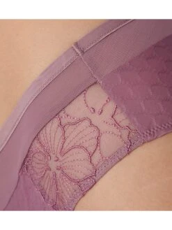 Triumph Slip "Azalea Florale" In Lila 8 Triumph Slip "Azalea Florale" In Lila -Triumph Verkäufe 2025 triumph slip azalea florale in lila 2