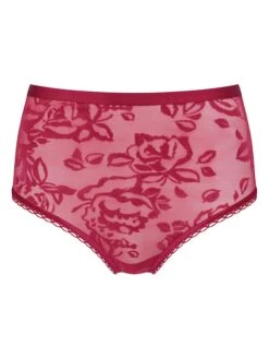 Triumph Taillenstring "Velvet Rose Spotlight High" In Rot